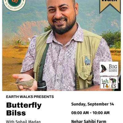 A portrait of our walk leader, Sohail Madan, an ecologist and author who has established over 85 butterfly parks. Joining his walk is a chance to learn from one of India's leading conservation educators.