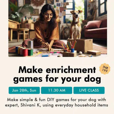 Your dog doesn't care about price tags! Join my live class to learn how to make simple and fun DIY enrichment games for your dog using everyday items you already have at home.