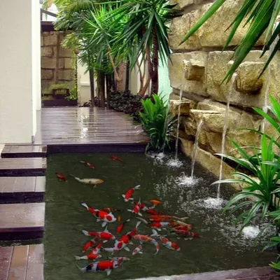 A stunning indoor koi pond with a cascading waterfall. This feature brings the sights and sounds of nature inside, with a wooden walkway that allows you to cross over the water, creating a truly unique and immersive experience.