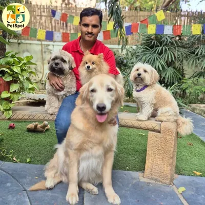 This is Mr. Dev Narayan Yadav, the head of our boarding team, surrounded by some of our happy guests. His 14 years of dedication, kindness, and positive energy make him a true animal magnet and the heart of our boarding facility.