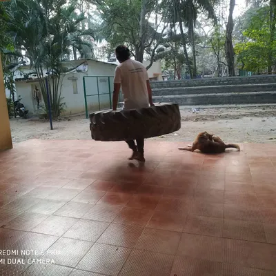 Tire carries are a test of total body strength and endurance. This type of conditioning builds the physical and mental toughness needed for any challenge.