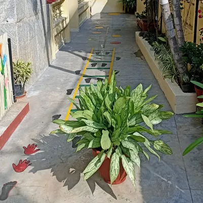 Our outdoor path with a painted hopscotch ladder. I believe in integrating play and movement into every part of our environment to keep children active and engaged.