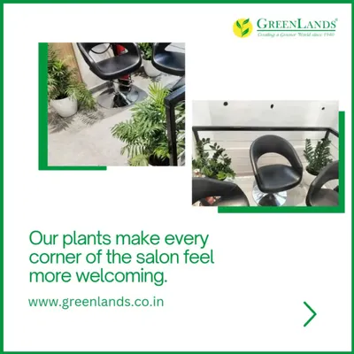 In this salon, I placed plants in key corners and between styling stations. This not only enhances the decor but also creates a subtle sense of privacy and tranquility for clients during their appointments.