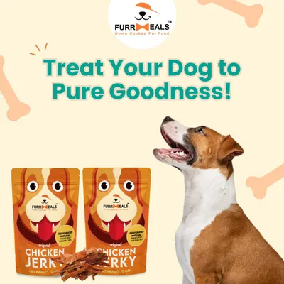 Treat your dog to pure goodness. My Chicken Jerky is a 100% natural, high-protein, and low-fat snack. It's the perfect healthy reward that your dog will absolutely love.