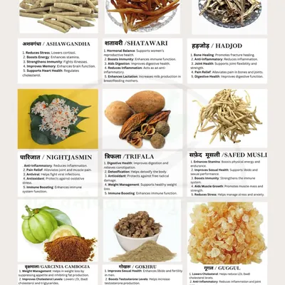 This chart showcases some of the most powerful herbs I work with, like Ashwagandha for stress, Shatavari for hormonal balance, and Trifala for digestion. During our consultation, we will identify which of these ancient remedies can help you on your path to wellness.