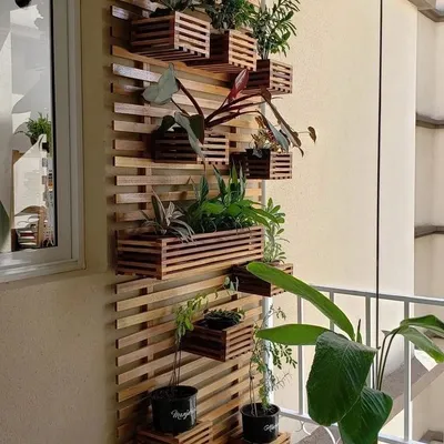 This vertical garden is made from a wooden slat structure with integrated planter boxes. It's a modular and stylish way to display a variety of plants at different heights, creating a living wall of art.