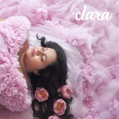 A dreamy overhead shot of our pink Clara gown. The client is surrounded by a sea of ruffles and flowers, creating a truly magical and artistic portrait.