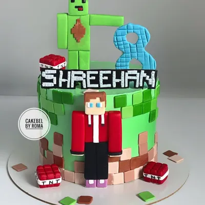 A classic Minecraft cake for Shreehan's 8th birthday. I built this world with edible blocks, TNT, and fondant figurines of popular characters, ready for a gaming adventure.