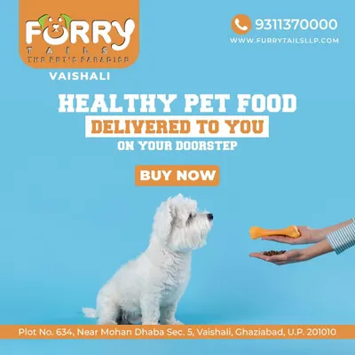 Get healthy and delicious pet food delivered directly to your doorstep. This graphic highlights our convenient pet food delivery service, ensuring your furry friend never misses a nutritious meal.