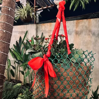 A hanging coir basket filled with flowering plants and decorated with a red ribbon. This is a great example of how I create aesthetic and rustic decor pieces.