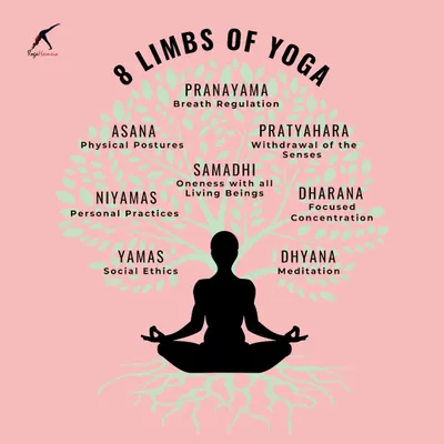This graphic illustrates the 8 Limbs of Yoga, the foundational philosophy of the practice. It goes beyond physical postures (Asana) to include ethics (Yamas), personal practices (Niyamas), and breath regulation (Pranayama).