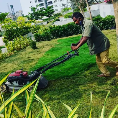 Our lawn care service includes regular grass cutting with professional mowers. This ensures an even, healthy, and green lawn that becomes the foundation of a beautiful garden.