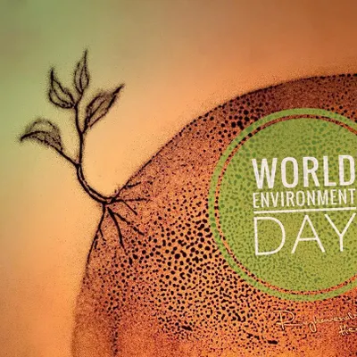 My artwork for World Environment Day. A small plant with strong roots grows from the earth, a sand-drawn reminder that we must protect our planet.