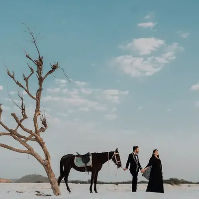 A cinematic shot of a couple walking hand-in-hand with a horse in a vast, minimalist landscape. The bare tree and wide blue sky create a dramatic and artistic pre-wedding portrait.