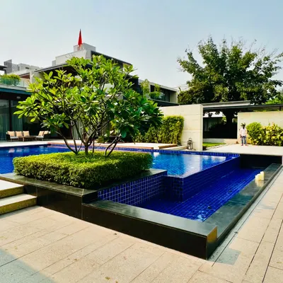 A stunning poolside at a Sultanpur farmhouse, featuring a Frangipani tree on a small island, multi-level water bodies, and a clear view of the modern home architecture.