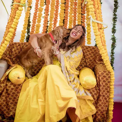 Fur-ever love. The bride gets a happy lick from her cocker spaniel during her Haldi ceremony, a moment of pure, unconditional love.