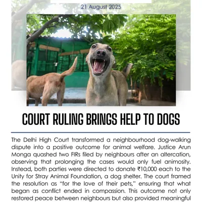 From The VOSD Daily: A Delhi High Court ruling turned a neighborhood dispute into a positive outcome for animal welfare, directing both parties to donate to a dog shelter.