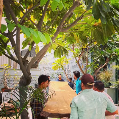 The journey of a custom-designed object. Our team carefully navigates a 4.7-meter-long, 300kg solid oak tabletop through the studio garden, a testament to the scale and effort involved in our bespoke furniture.