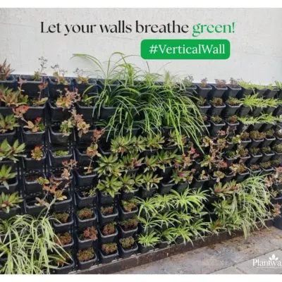 This image shows the basic building block of our natural vertical gardens. Each plant sits in its own pot within a modular grid, allowing for easy maintenance and custom designs with a variety of plant species.