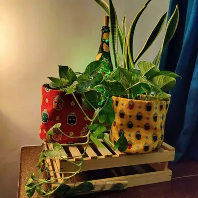 My printed jute bags are a wonderful way to add character to your indoor plants. Here, I've used two different ethnic prints for a money plant and a snake plant, creating a warm and natural decor accent on a wooden crate.