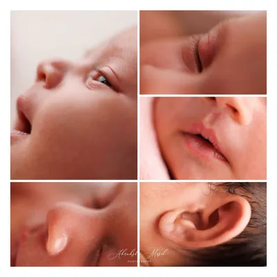 The tiniest details tell the biggest stories. This macro collage focuses on the delicate features of a newborn: the curve of an ear, the pout of the lips, and the softness of their skin. It is the art of detail that makes these memories so precious.