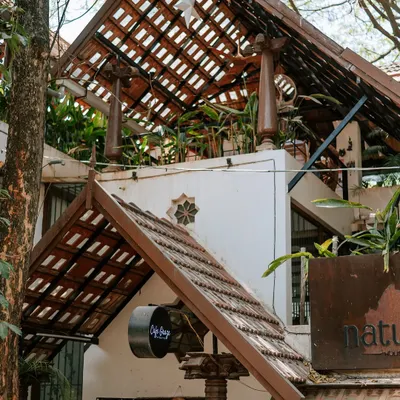 The beautiful, earthy architecture of Natureville, nestled among the trees. I wanted to create a space that feels like an escape, where the design itself promotes a sense of peace and connection to nature.