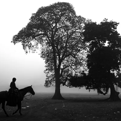 A lone horseman rides through the misty morning fog in Kolkata's Maidan. This black and white shot has a timeless, painterly quality that I love.