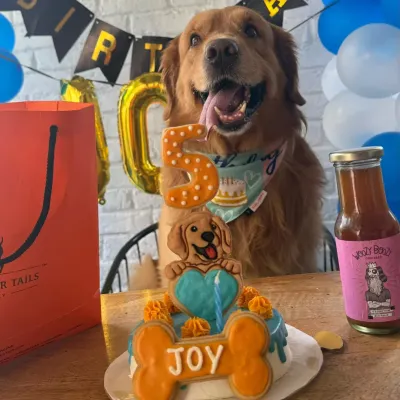 Our loyal customer Joy, a beautiful Golden Retriever, celebrating his 5th birthday. It warms our hearts to be a part of his special day, year after year.