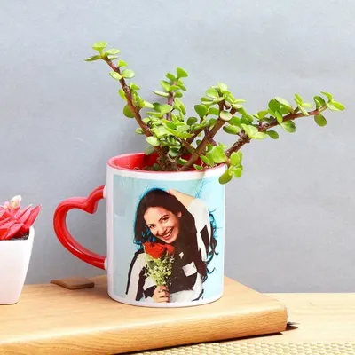 Create a gift that's full of personal meaning with a custom photo mug planter. This one features a vibrant Jade plant in a mug with a heart-shaped handle, perfect for anniversaries or just to show you care.