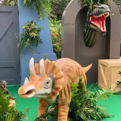Get up close with our realistic dinosaur props. This setup includes a triceratops and a T-rex head emerging from a custom arch, perfect for a Jurassic Park theme.