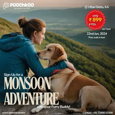 Ready for a monsoon adventure? This poster for our Uttari Betta trek shows the kind of unique experiences I organize. Pets walk for free, and I handle all the essentials for a perfect day of hiking.