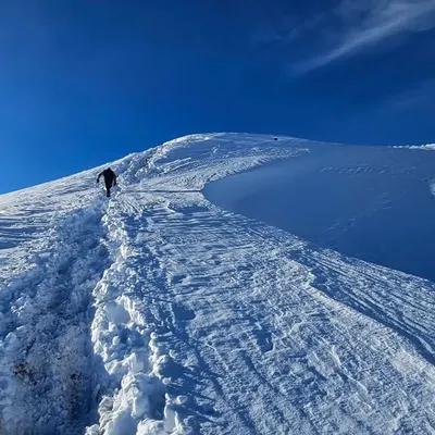 A solo trekker making their way up a snowy ridge on the Kuari Pass trek. This is what it's all about. My training ensures you have the leg strength and cardiovascular endurance to tackle long ascents in the snow, so you can lead the pack.