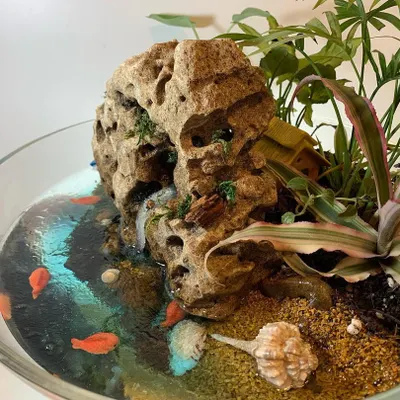 This miniature beach scene in a glass bowl features a resin water effect, a rock waterfall, and real seashells. The low maintenance tropical plants, like the small palm and bromeliad, complete this tiny coastal landscape.