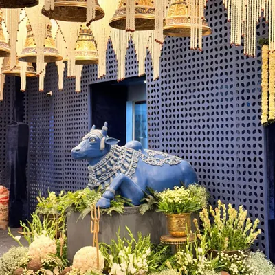 A grand installation for a Ganesh Chaturthi celebration. I used a large, custom-made Nandi statue as a centerpiece, surrounded by lush florals and set against a backdrop of hanging temple bells and pearl strings.