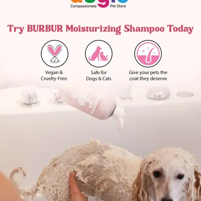 Give your furry friend the bath they deserve with BURBUR Moisturizing Pet Shampoo. It's vegan, cruelty-free, and safe for both dogs and cats, leaving their coat hydrated and shiny.