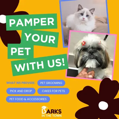 My pick-up and drop service is just one part of how I help you pamper your pet. This image highlights the full range of services I offer, including professional grooming for both dogs and cats, pet food, and accessories.