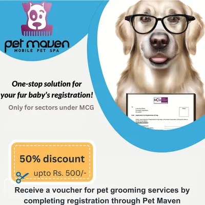 Get a discount on our grooming services! This graphic explains our offer for clients who complete their pet registration through our website in Gurgaon.