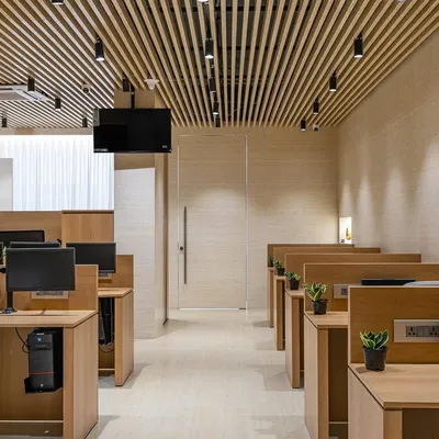 A view of the main workstation hall in 'The Terra Office'. The design emphasizes a cohesive look with matching wooden desks and a continuous fluted wooden ceiling that adds architectural interest and warmth.