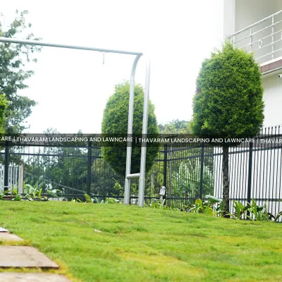 A serene backyard view featuring a healthy lawn, a simple swing set, and neatly shaped evergreen trees. This design creates a functional and peaceful space for the whole family to enjoy.