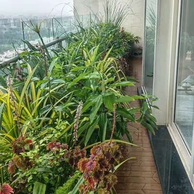 A perfect example of a private jungle in the sky. We used seamless layering with a burst of colors and textures to turn this Mumbai balcony into a luxurious tropical retreat.