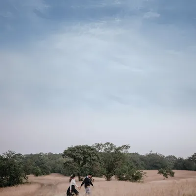 A wide, breathtaking shot of a couple walking hand-in-hand through a vast, golden field. This image captures the sense of adventure and the journey you are embarking on together, set against a beautiful natural landscape.