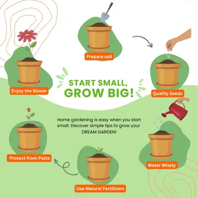 Starting small is the secret to success. This infographic illustrates the six key stages of growing a plant, from preparing the soil and planting quality seeds to protecting it from pests and enjoying the bloom.