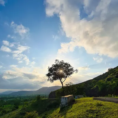 A moment of golden light breaking through the monsoon clouds. This shot captures the serene beauty of the countryside landscape in my hometown.
