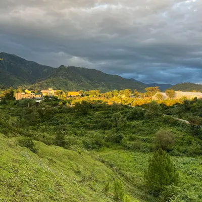 The view from our Palampur retreat location. The golden hour light over the Himalayan foothills provides a tranquil setting for deep introspection and practice.