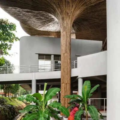 The bamboo parasol at the TAPMI Centre, seen here from below, is supported by a slender column that branches out, emulating the form of a tree. This structure is not just a roof but a piece of the landscape itself, integrated with the surrounding greenery.