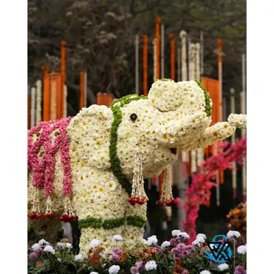 I am truly proud of this floral elephant sculpture, which I designed and built from scratch. Using thousands of individual flowers, I created this unique and glorious piece that showcases my attention to detail and passion for out of the box designs.