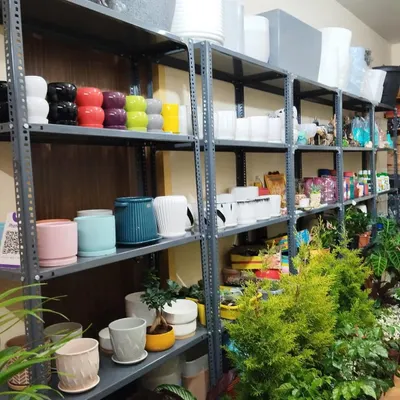 I believe a plant's home is just as important as the plant itself. Here are some of the shelves in my store, stocked with ceramic, metal, and plastic planters in all shapes and sizes.