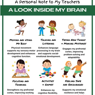 I created this guide to help parents and teachers understand the simple, powerful ways children learn best. It’s a look inside a child’s brain, showing that movement, play, and feeling safe are just as important as focusing. My teaching is built on this holistic approach to support a child's entire well-being.