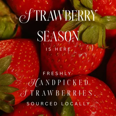 The wait is over, strawberry season is here. We handpick every berry at peak ripeness from local farms, choosing them for the perfect sweet-tart balance.