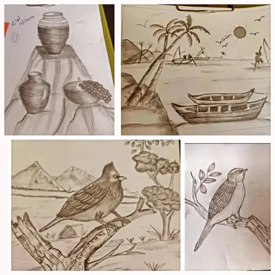 This collage showcases the work from my adult sketching classes, focusing on core exam topics. You can see examples of still life with pottery, landscape composition with boats, and detailed nature studies of birds, all done with pencil.
